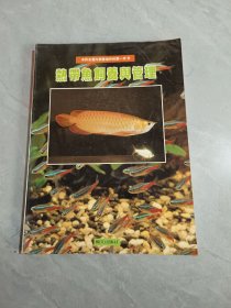 熱帶魚飼養(yǎng)與管理