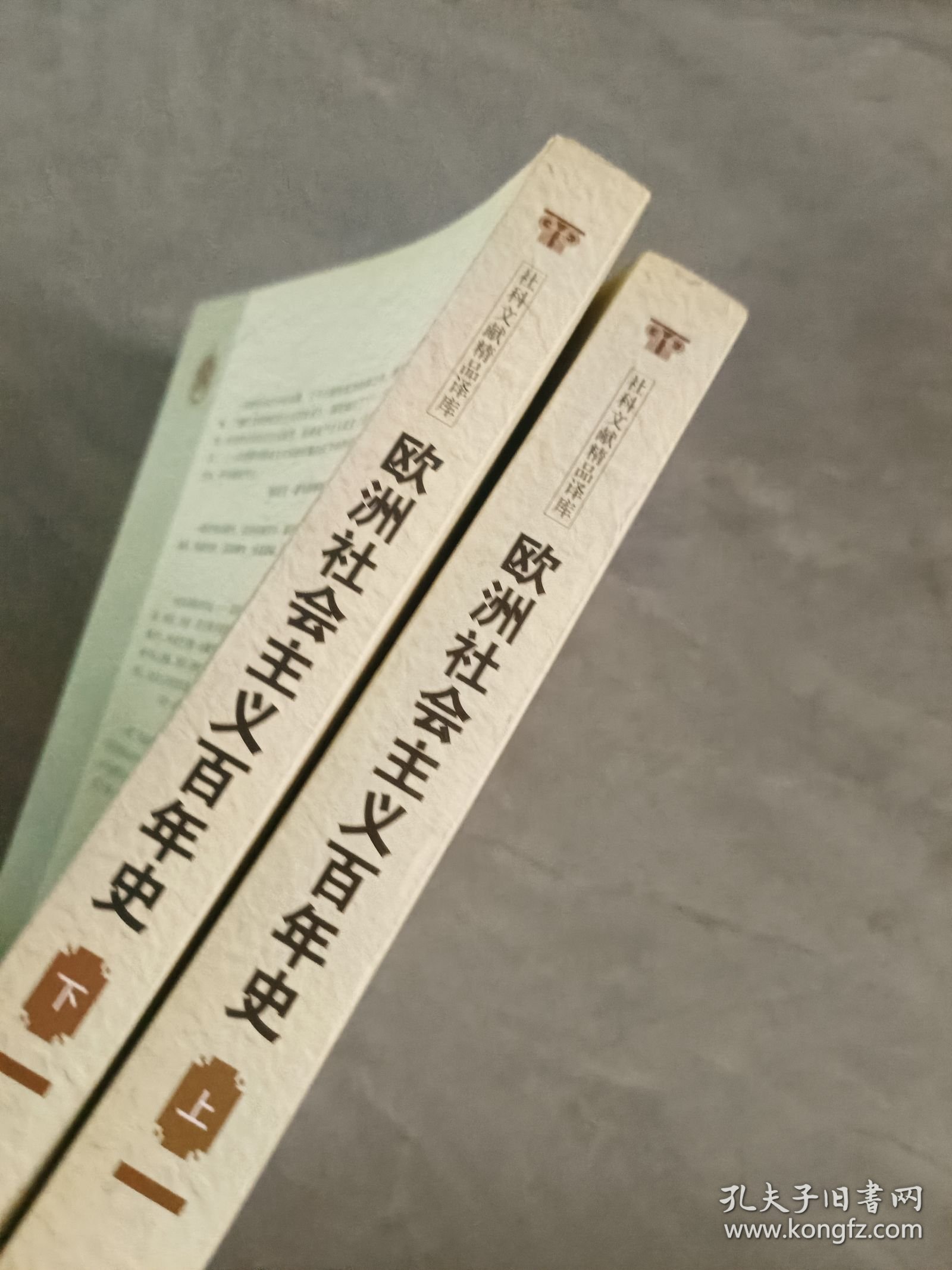 欧洲社会主义百年史（修订版 上下）