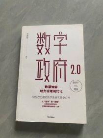 数字政府2.0：数据智能助力治理现代化