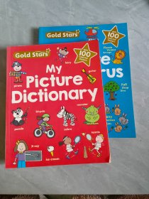 My Picture Thesaurus   My Picture Dictionary  2本合售