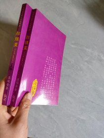 四大名捕故事之十二 骷髅画（上，下全）