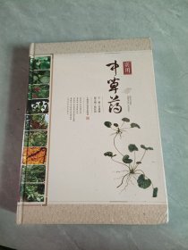 实用中草药