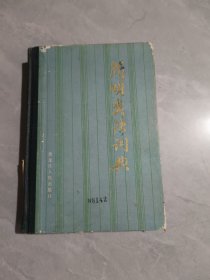 簡(jiǎn)明類語(yǔ)辭典