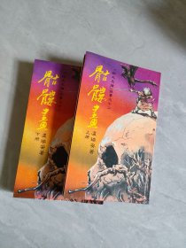 四大名捕故事之十二 骷髅画（上，下全）