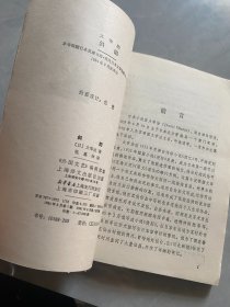 外国文艺丛书：斜阳