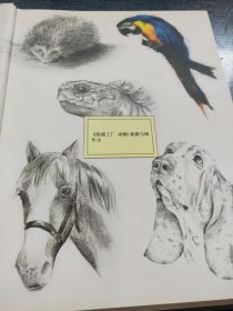 Workshop Zeichnen - Tiere (德语原文) 精装版【馆藏本】