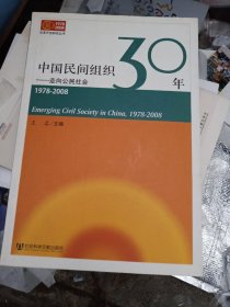 中国民间组织30年