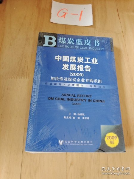 中国煤炭工业发展报告2009：加快推进煤炭企业并购重组（2009版）