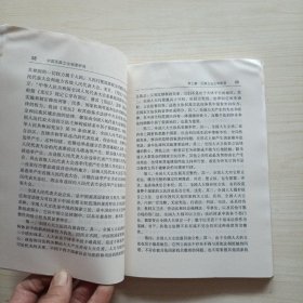 中国民族立法制度研究