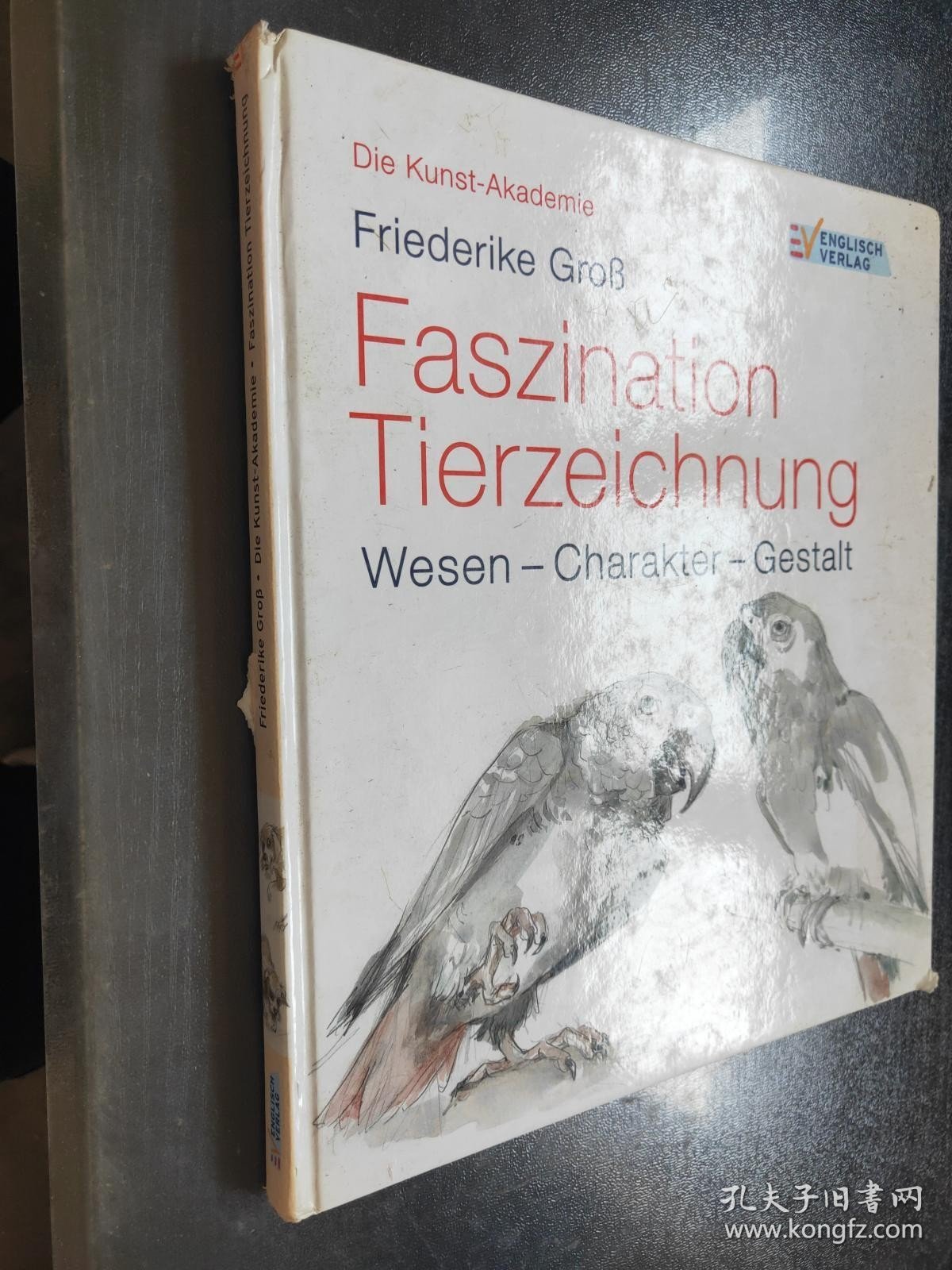 Die Kunst-Akademie. Faszination Tierzeichnung (德语原文) 精装版【馆藏本】