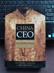 China CEO: Voices of Experience from 20 International Business Leaders  中国首席执行官