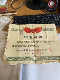 1956年毕业证，沈阳市北关区东横街第二小学