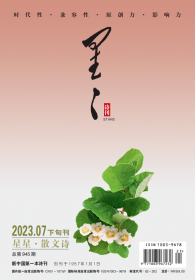 《星星.散文诗》2023年第7期，全新