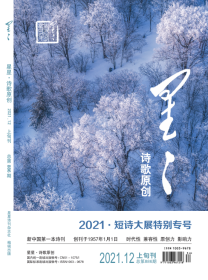 《星星诗刊》2021年第12期（短诗大展特别专号），全新