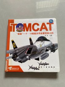 雄猫-F-14舰载多用途重型战斗机