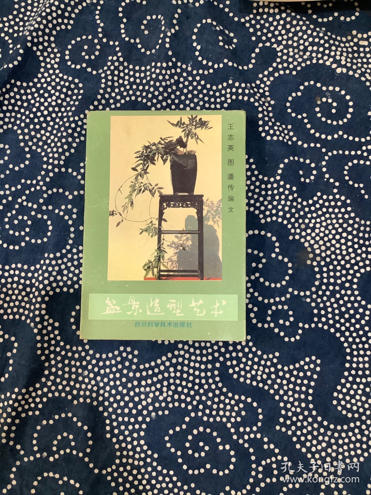 盆景造型艺术