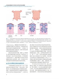 乳房美容整形手术常见与罕见并发症管理 9787523202951 李永平