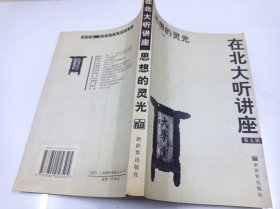 思想的灵光：在北大听讲座第五辑