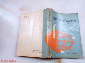 小说写作技巧二十讲