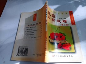 草莓四季栽培第二版