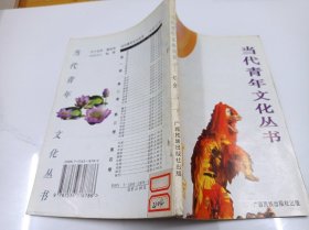 当代青年文化丛书：灯会