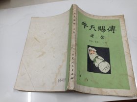 牛天赐传