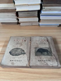 化石人類學 （第一 ，二冊， 兩冊合售）（自然科學小叢書）