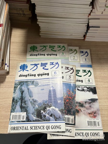 东方气功杂志 双月刊 1995年 全年1—6期全 6册合售