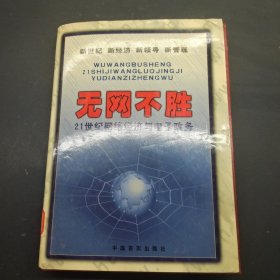 无网不胜21世纪网络经济与电子政务