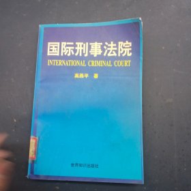 国际刑事法院