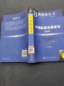 中国能源发展报告2009