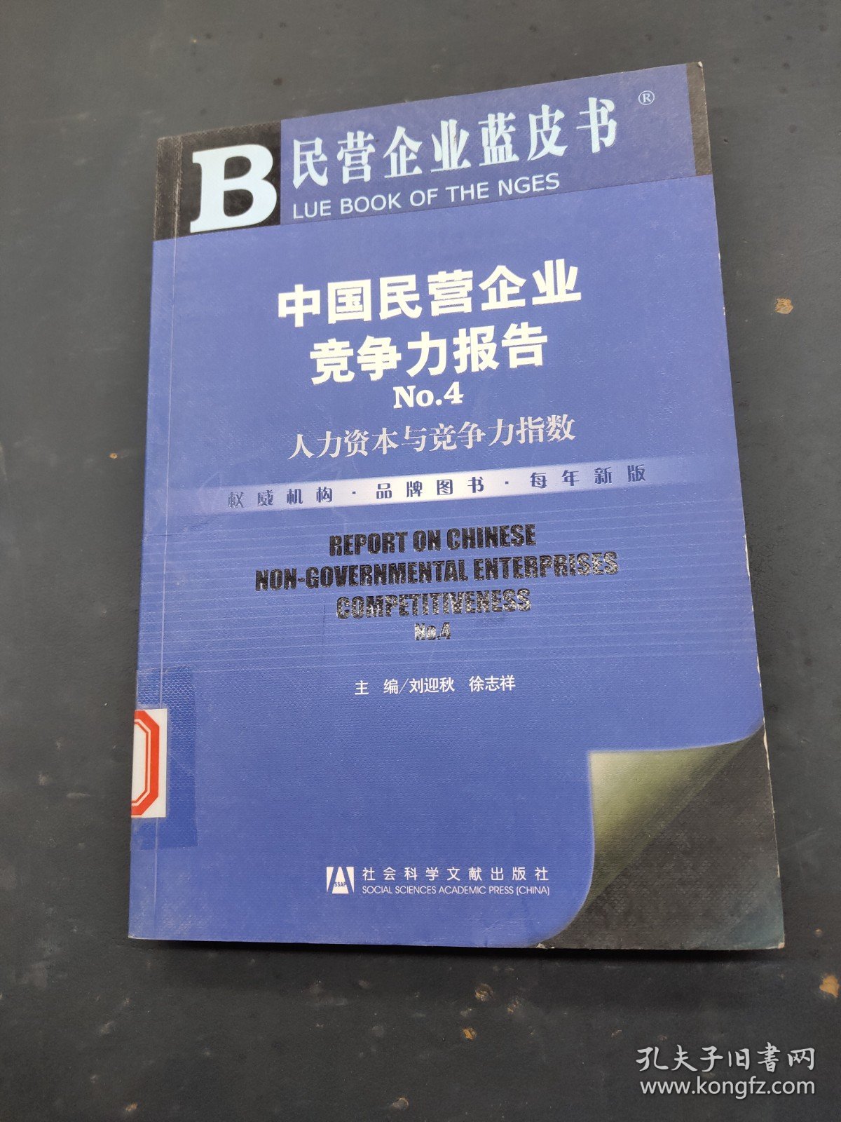 中国民营企业竞争力报告No.4：人力资本与竞争力指数