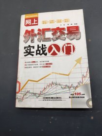 网上外汇交易实战入门