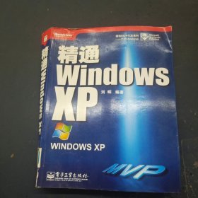 精通Windows XP