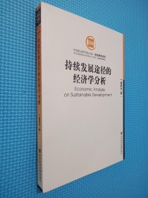 持续发展途径的经济学分析