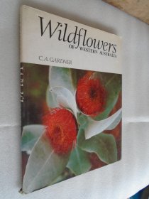 Wildflowers of Western Australia 英文原版精装 16开