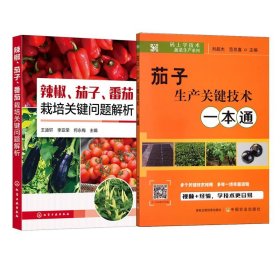 【2册】茄子生产关键技术一本通+辣椒 茄子 番茄栽培关键问题解析 茄子常见病虫害大全 茄子常见病防治与治疗办法种植技术书籍