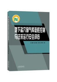 地下盐穴储气库造腔控制与注采运行安全评估