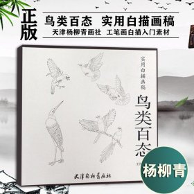 实用白描画稿：鸟类百态