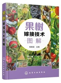 果树嫁接技术图解 陈敬谊 主编 果树嫁接 果树裁剪修枝 化学工业出版社9787122329479