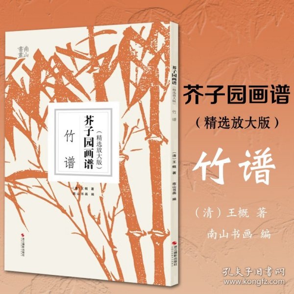 芥子园画谱竹谱 精选放大版 康熙原版国画技法经典作品 中国画入门技法正版书籍 国画临摹画册册页 清王概芥子园画传正版