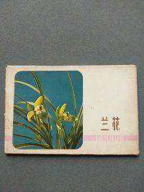 明信片：兰花（一套8张全）