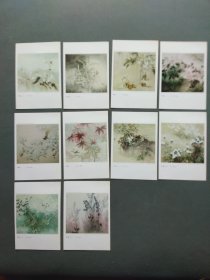 明信片：杨晓梅工笔花鸟画作品选（一套10张全）