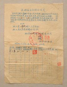 桃江县大栗港乡宋家村高级农业社  牲猪现金订购合同书  1958年