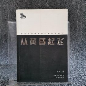 从黄昏起飞