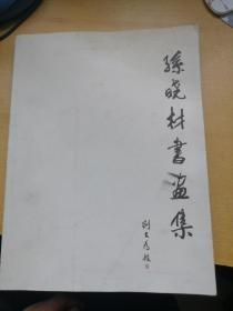 孙晓林书画集。