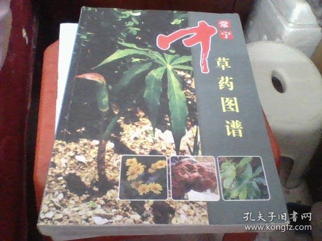 【湖南中草药文献】湖南常宁县域珍稀中草药资源成果：采集792种野生中药材植物标本 拍摄 2098张照片：《常宁中草药图谱》精美图典