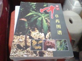 【湖南中草药文献】湖南常宁县域珍稀中草药资源成果：采集792种野生中药材植物标本 拍摄 2098张照片：《常宁中草药图谱》精美图典