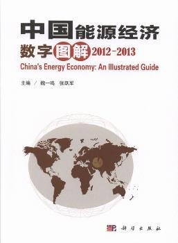 中国能源经济数字图解2012-2013
