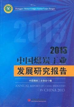 2013中国煤炭工业发展研究报告